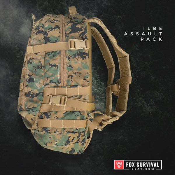 ILBE Assault Pack side view